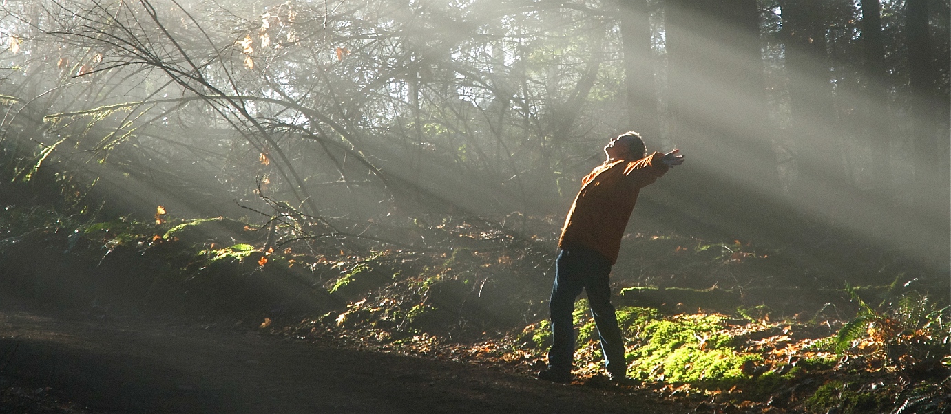 Finding a path out of the woods - Global Connection